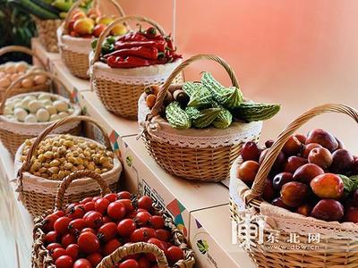 拜泉县创新‘党建书苑+农副产品’模式，打造乡村振兴新引擎