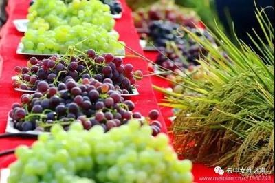 金秋庆丰收 巾帼展风采——托克托县第二届农民丰收节暨特色农副产品展销会盛大开幕