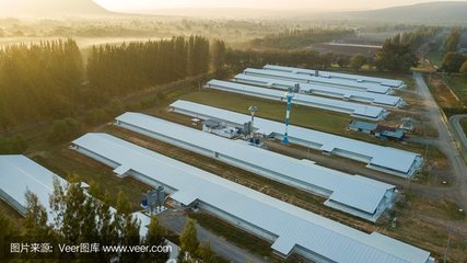 打造长江流域农副产品冷链新枢纽 望江县冷链物流基地建设与发展